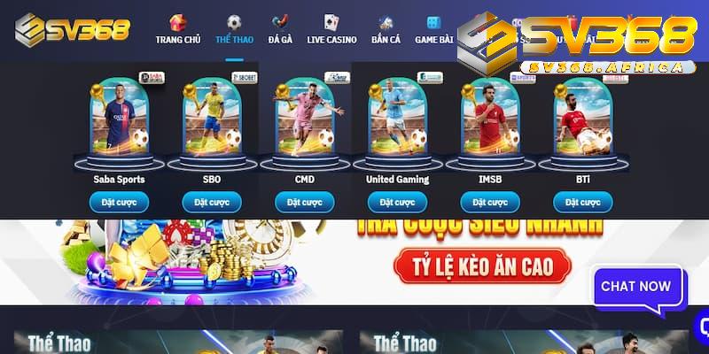 Bí quyết cá cược thể thao hiệu quả – chơi thông minh, thắng dễ dàng