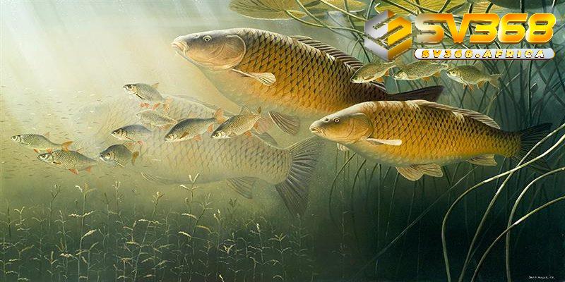 Giải mã giấc mơ cá chép